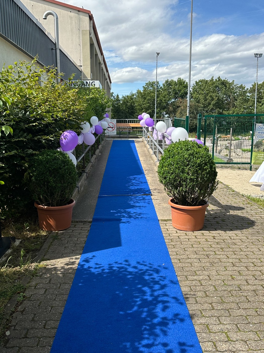 Festlicher Empfang mit blauem Teppich und Ballons am Eingang
